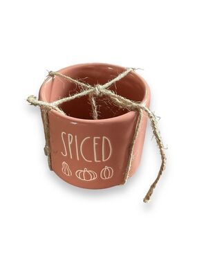 Rae Dunn Mug SPICED Pumpkin Orange With Cream Lettering